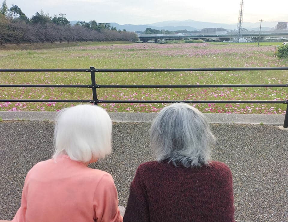 スライドショーの画像